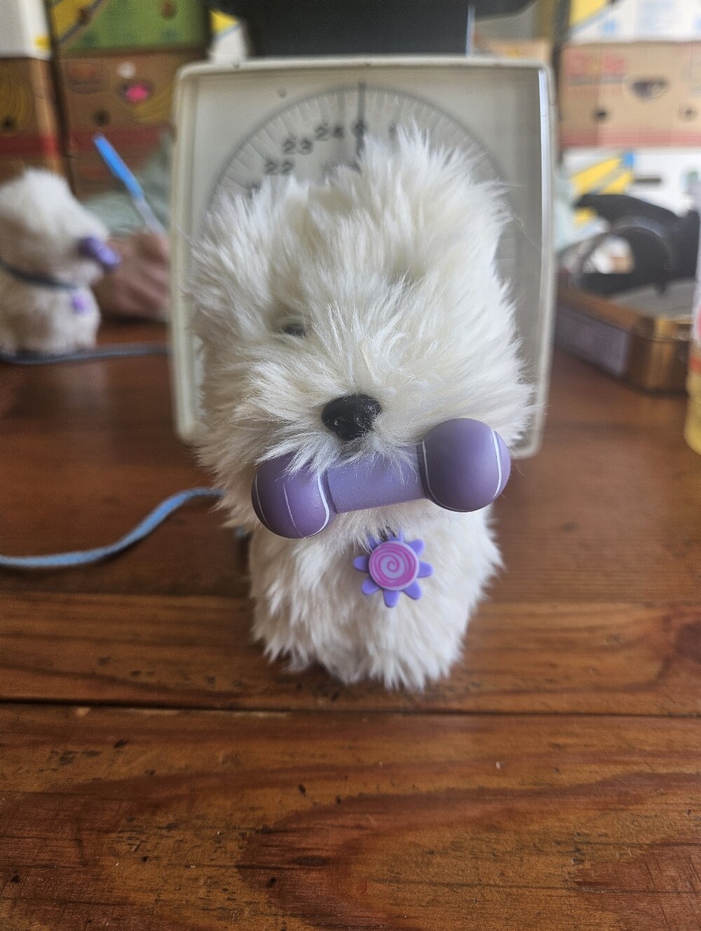 American Girl Doll Coconut Dog 2000 White Westie Retired W/toy Leash & Collar